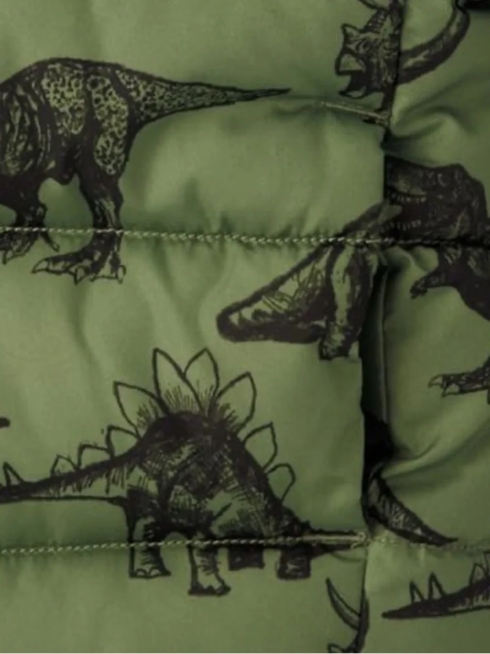 The Children’s Place ❤️Kids Green Dinosaur Print Puffer Jacket